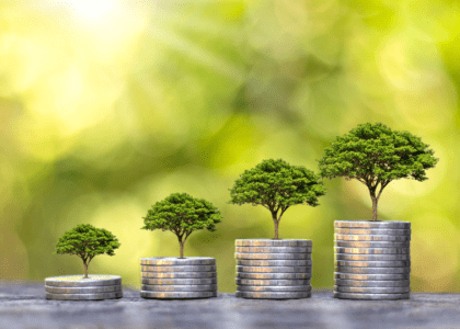rural-entrepreneurship