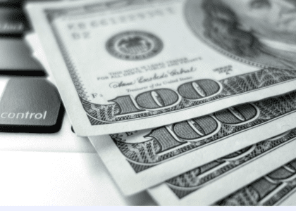 How to Make Money as a Pet Sitter on Rover A Comprehensive Guide