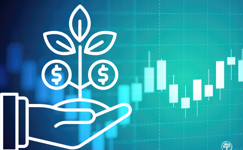 wealth-building-principles